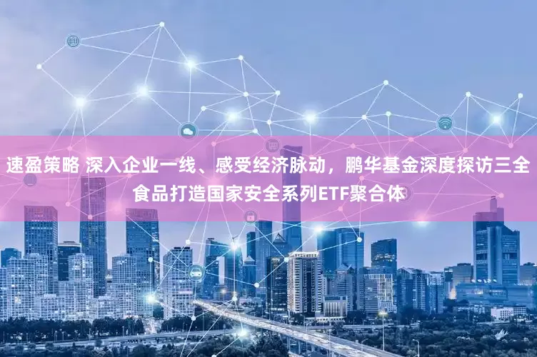 速盈策略 深入企业一线、感受经济脉动，鹏华基金深度探访三全食品打造国家安全系列ETF聚合体